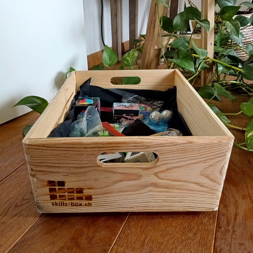 Pädagogische Skills Box