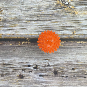 Igelball