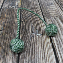 Begleri