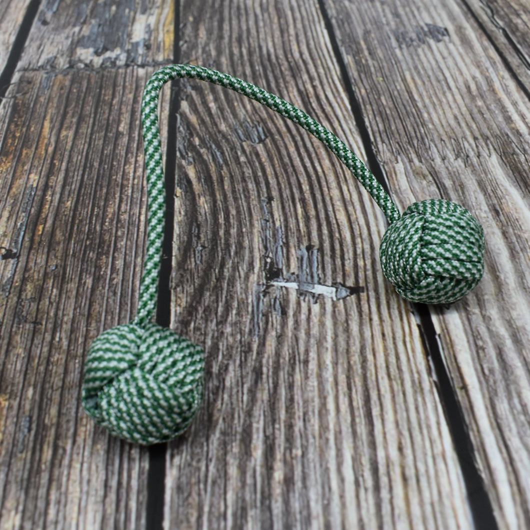 Begleri